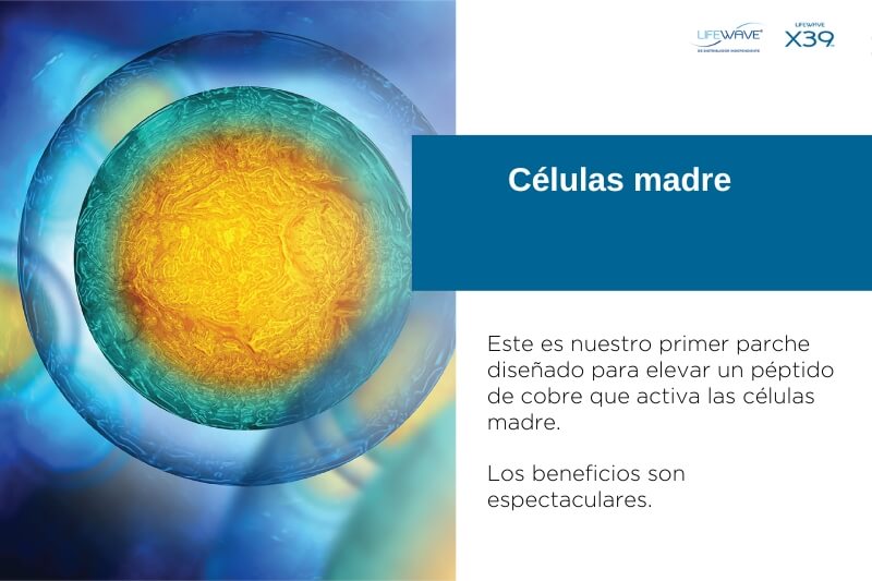 Essential New Life | Parche X39 - Células Madre Essential New Life | Parche X39 - Células Madre